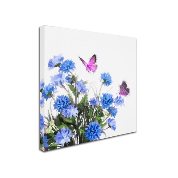 The Macneil Studio 'Butterflys' Canvas Art,24x24